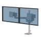 Rameno pro 2 monitory Fellowess TALLO Modular™ 2FS, stříbrná